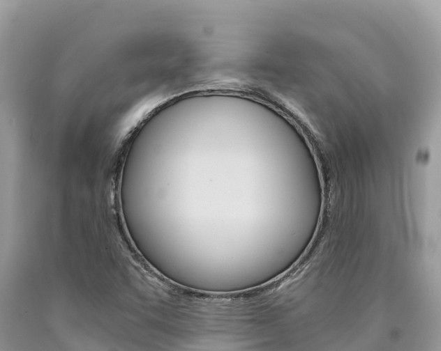 X0000090781455200707201125
