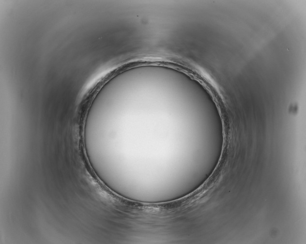 X0000090781456200707201125