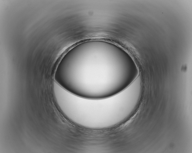 X0000090781457200707201125