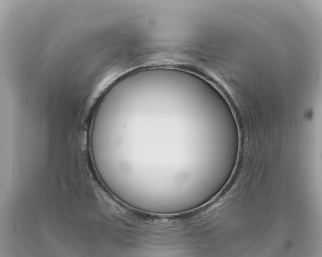 X0000090781459200707201125