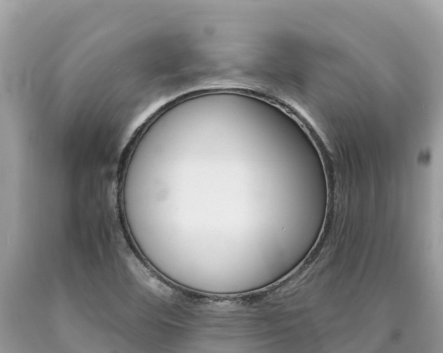 X0000090781460200707201125