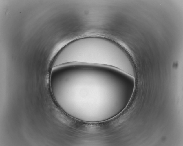 X0000090781461200707201125