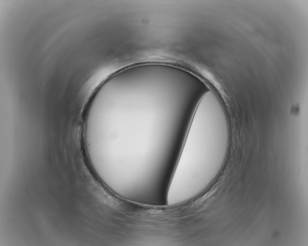 X0000090781463200707201125