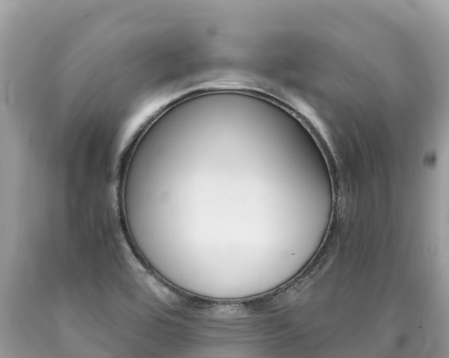 X0000090781464200707201125
