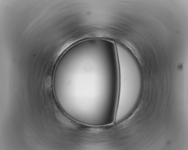 X0000090781465200707201125