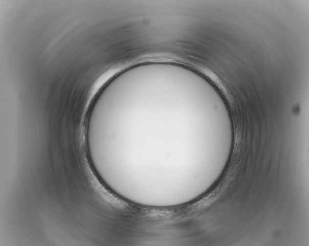 X0000090781466200707201125