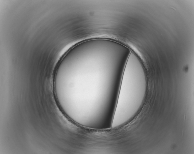 X0000090781468200707201125