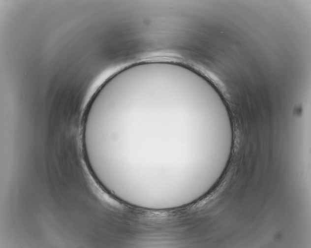 X0000090781470200707201125