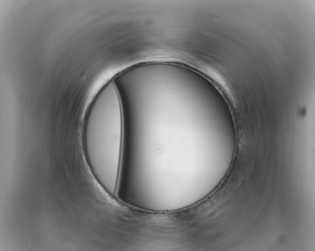 X0000090781472200707201124