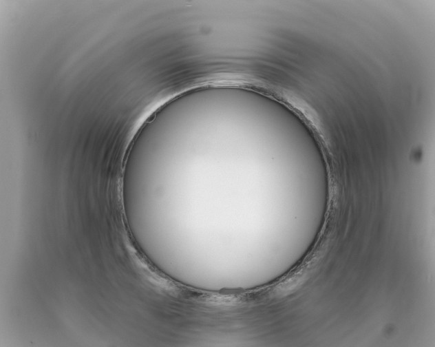 X0000090781473200707201124