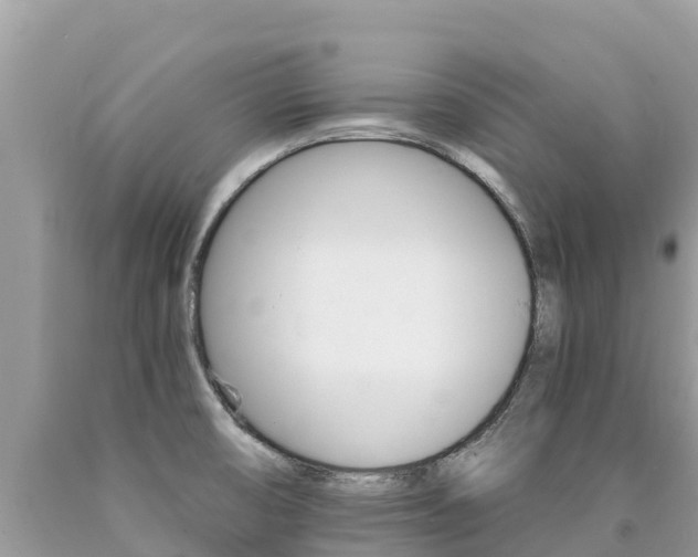 X0000090781474200707201124