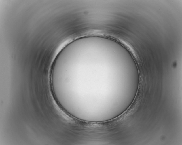 X0000090781475200707201124
