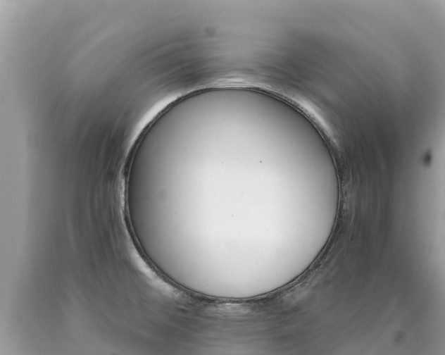 X0000090781476200707201124