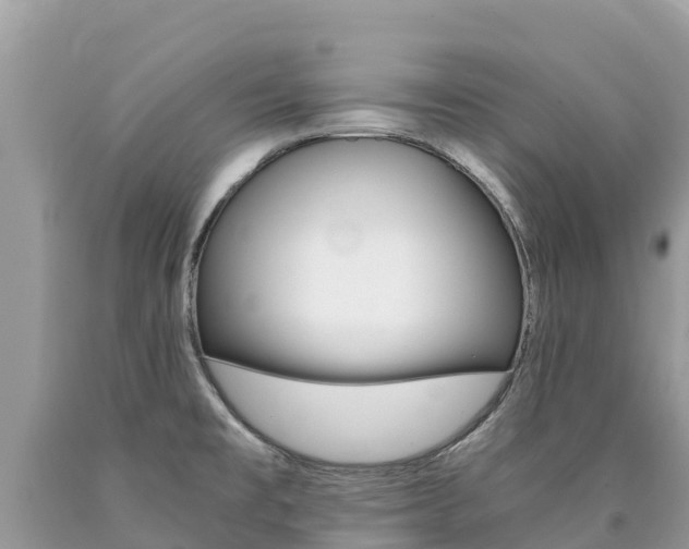 X0000090781477200707201124