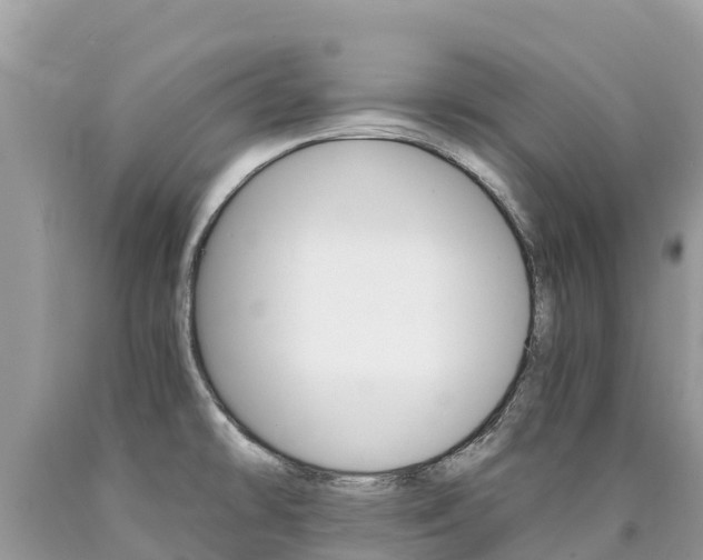 X0000090781478200707201124