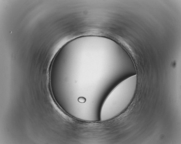 X0000090781479200707201124