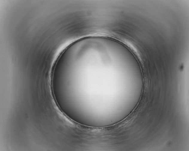 X0000090781480200707201124