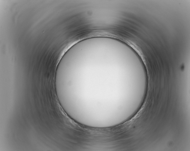 X0000090781481200707201124