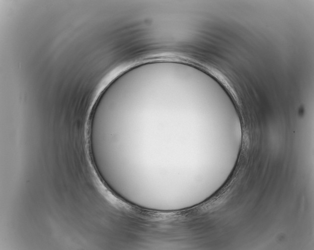 X0000090781482200707201124