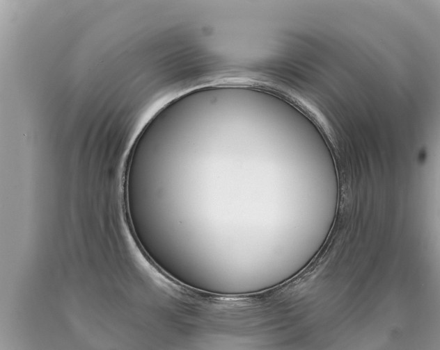 X0000090781483200707201124