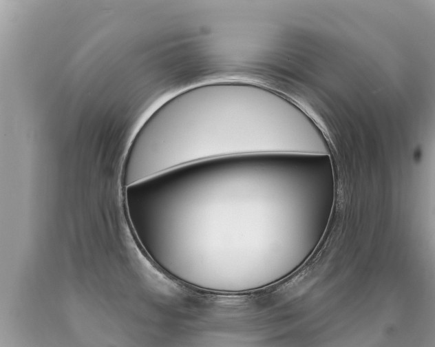 X0000090781484200707201124