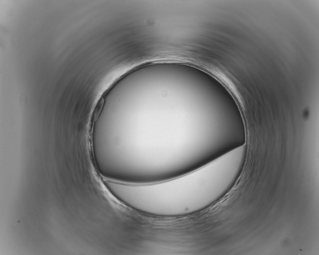 X0000090781485200707201124