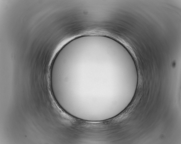 X0000090781486200707201124
