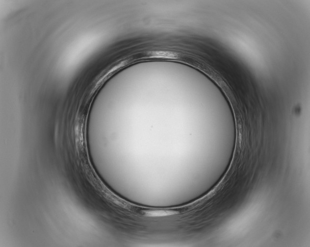 X0000090781487200707201124