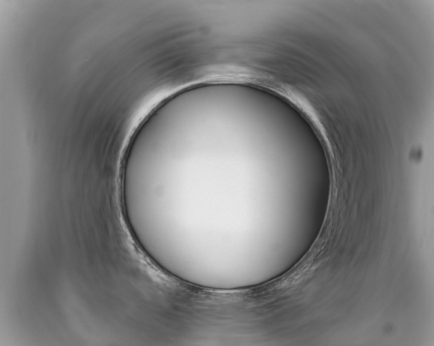 X0000090781488200707201124