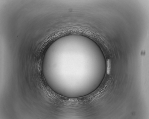 X0000090781491200707201124