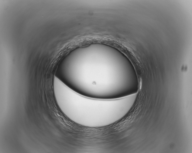 X0000090781492200707201124
