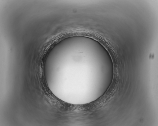 X0000090781493200707201124