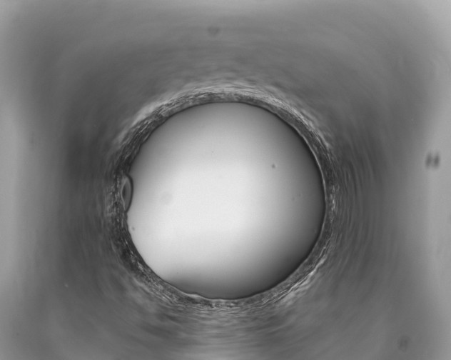 X0000090781494200707201124