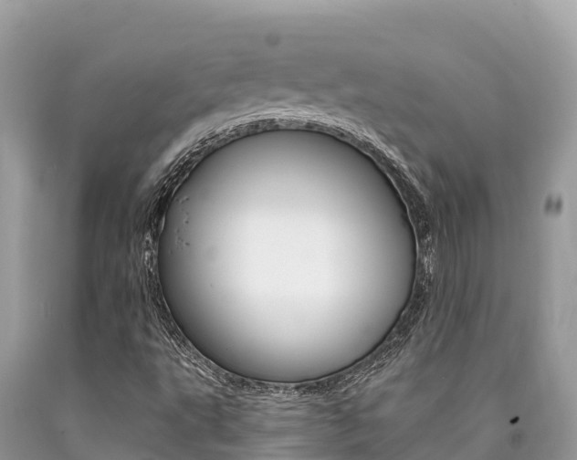 X0000090781495200707201124