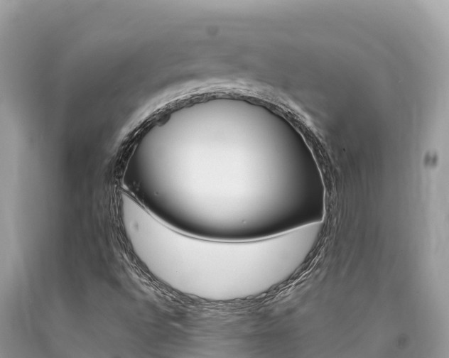 X0000090781496200707201124