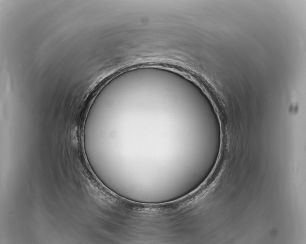 X0000090781497200707201124