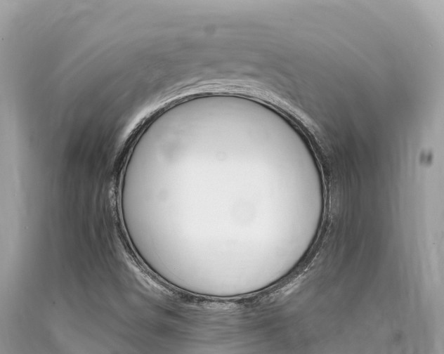 X0000090781498200707201124