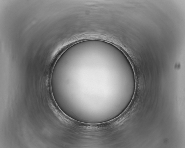 X0000090781499200707201124