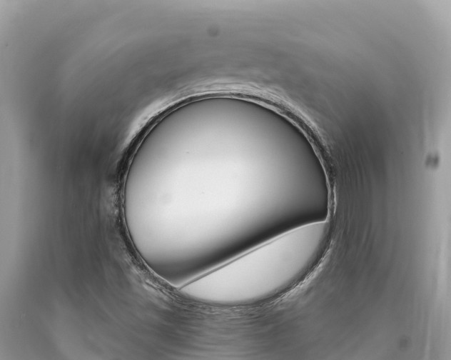 X0000090781501200707201124