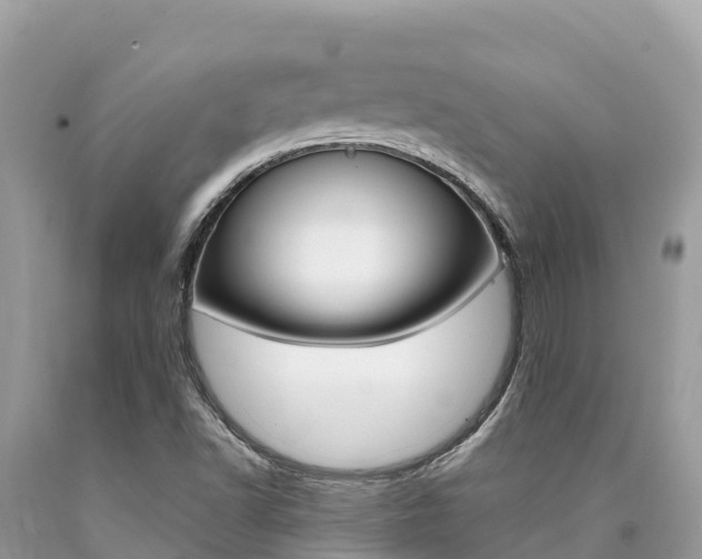 X0000090781502200707201124