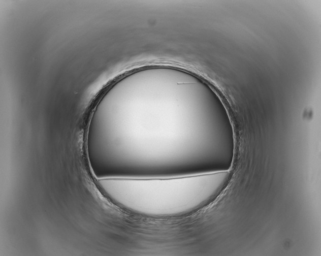 X0000090781503200707201124