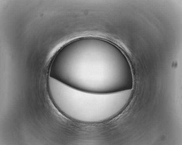 X0000090781504200707201124