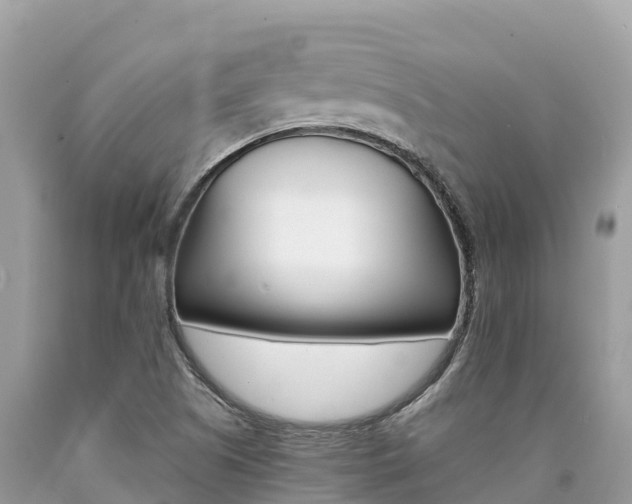 X0000090781505200707201124
