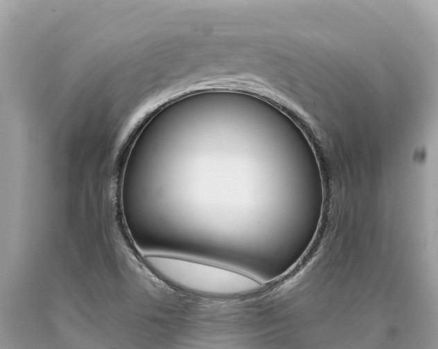 X0000090781506200707201124