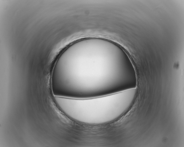 X0000090781507200707201124
