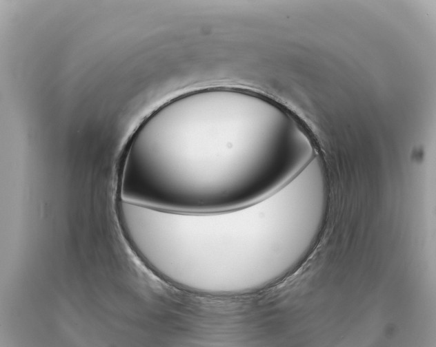 X0000090781508200707201124