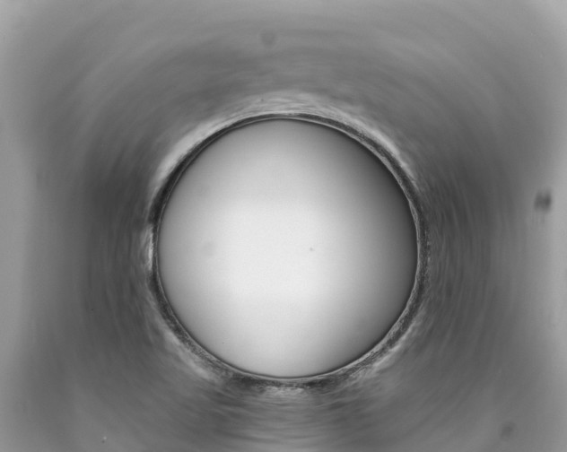 X0000090781509200707201124