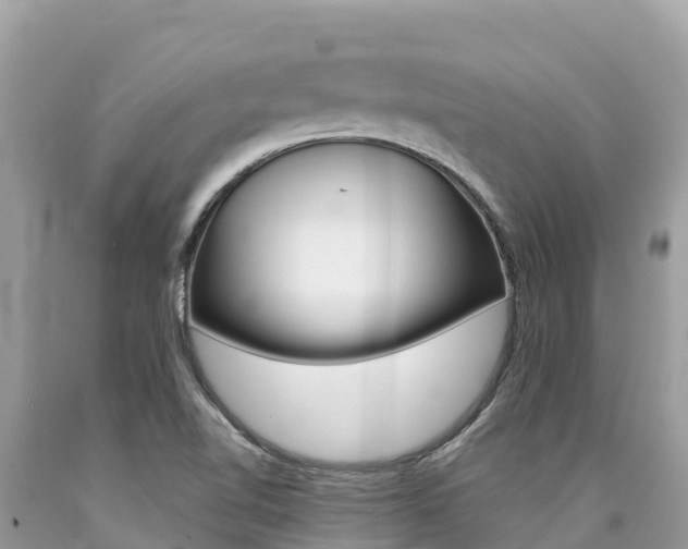 X0000090781510200707201124