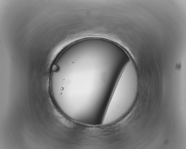 X0000090781511200707201124