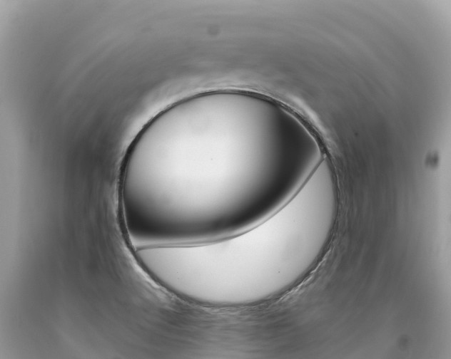 X0000090781512200707201124
